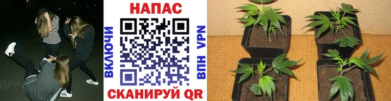 Купить наркотик аптеки Ангарск Бутират  Бошки Шишки  МЕФ  ГАШИШ  КОКАИН  A-PVP 