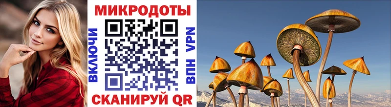 Галлюциногенные грибы мицелий Ангарск