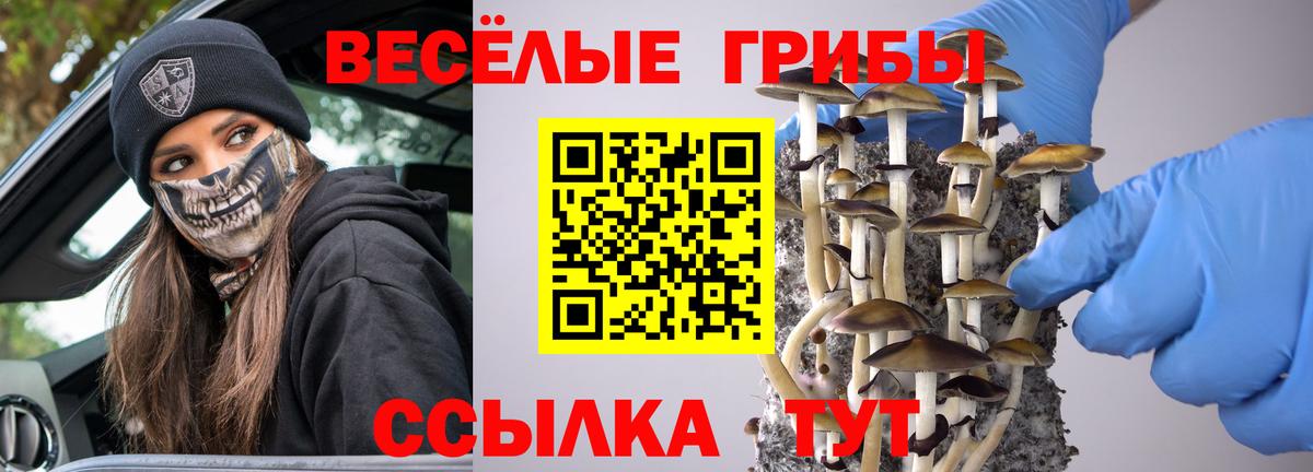 Псилоцибиновые грибы MAGIC MUSHROOMS  Ангарск 