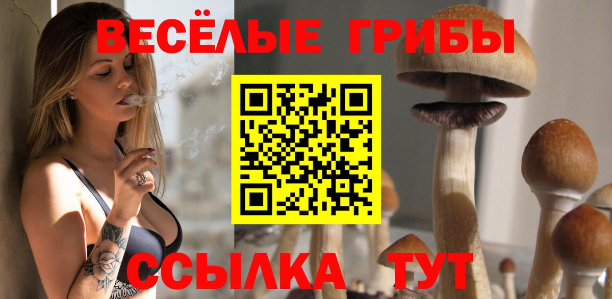 Псилоцибиновые грибы мицелий  Вход с VPN  Ангарск 